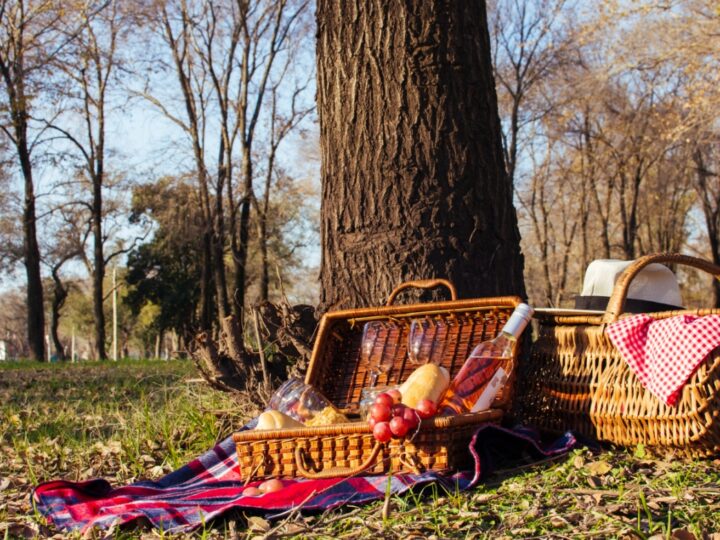 Dzisiaj w Hajnówce odbędzie się piknik leśny mający na celu poszerzenie wiedzy o Puszczy Białowieskiej jako obiekcie dziedzictwa UNESCO
