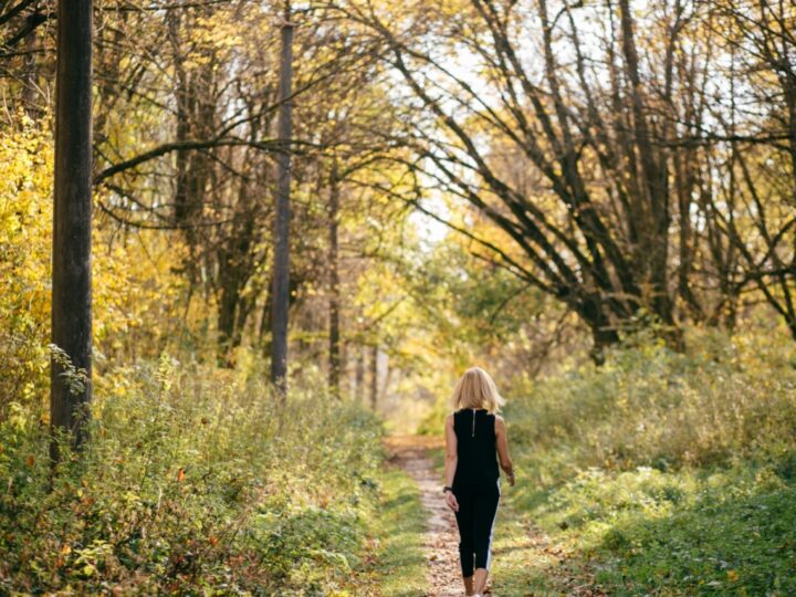 Przyrodnicza wędrówka poznawcza – Spacer Mykologiczny w lesie nad jeziorem Sajno