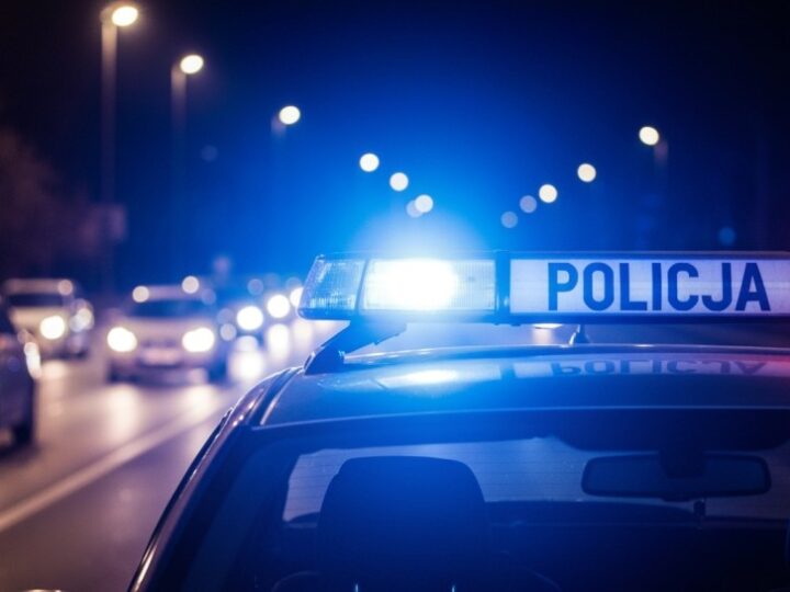 Mandaty za niebezpieczne trzymanie psa i brak szczepień obowiązkowych