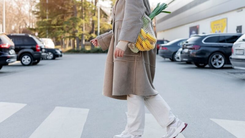 Zimowe niebezpieczeństwo: zwierzęta na drogach!