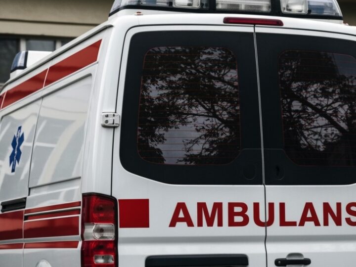 Grzybobranie z głową – kluczowe zasady bezpieczeństwa w lesie