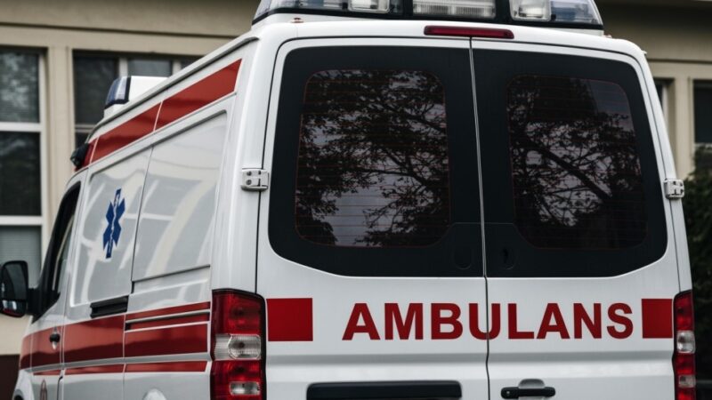 Grzybobranie z głową – kluczowe zasady bezpieczeństwa w lesie
