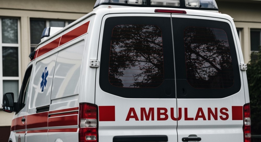 Grzybobranie z głową – kluczowe zasady bezpieczeństwa w lesie