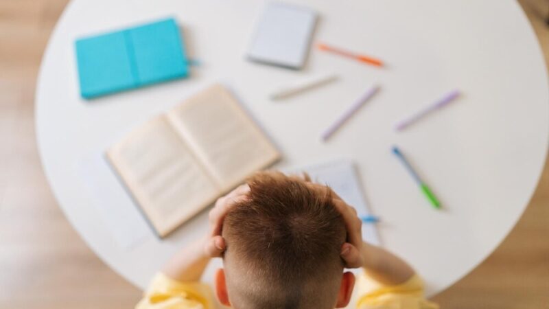 Wakacyjne staże uczniów ZSZ w Hajnówce: Praca i nauka w jednym!